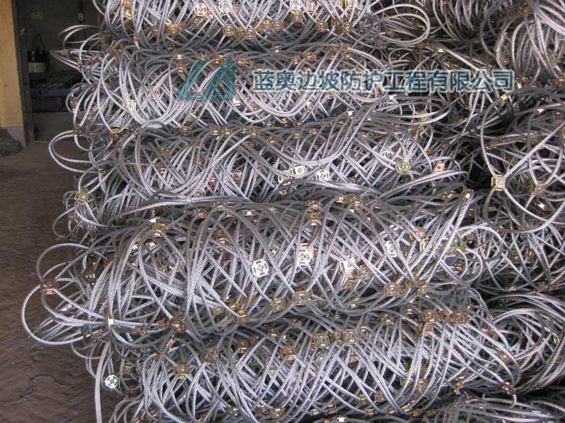 ߅�·��o�W(w��ng)���