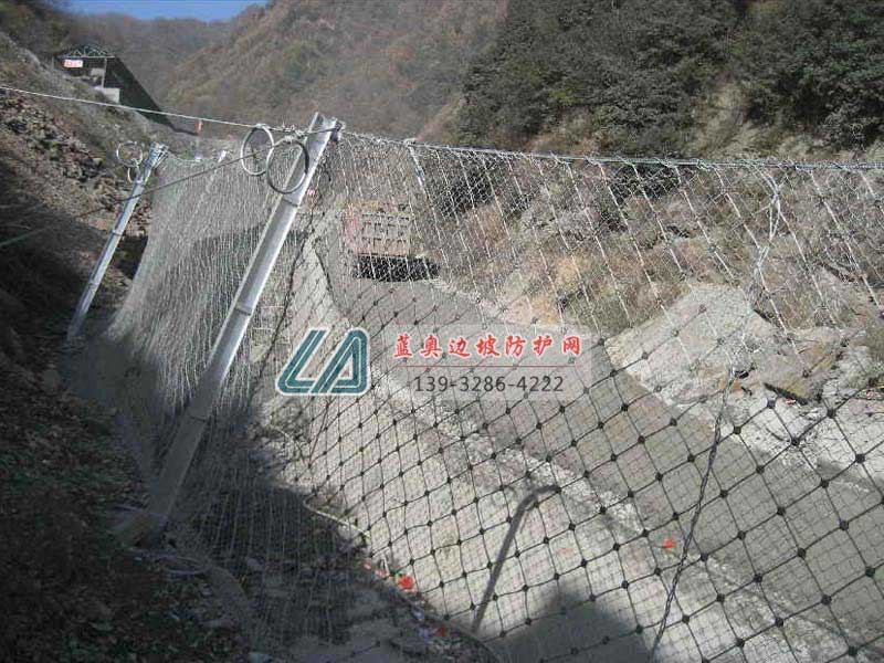 ����(d��ng)���o(h��)�W(w��ng)�㲿��