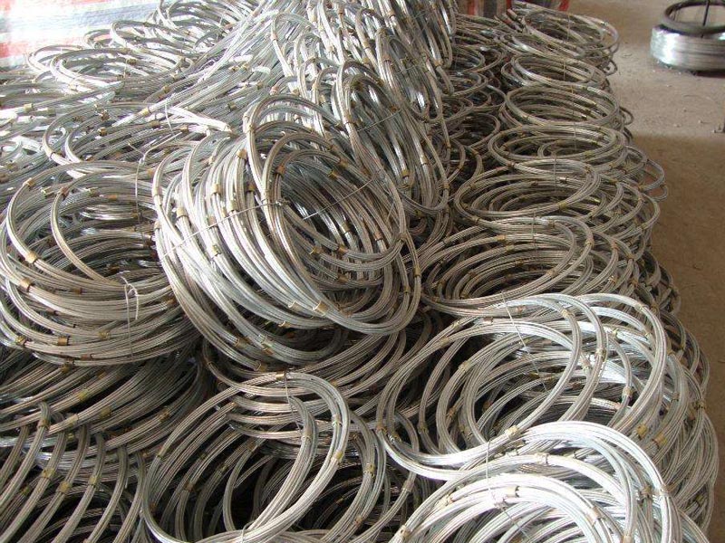 國標環形網對比